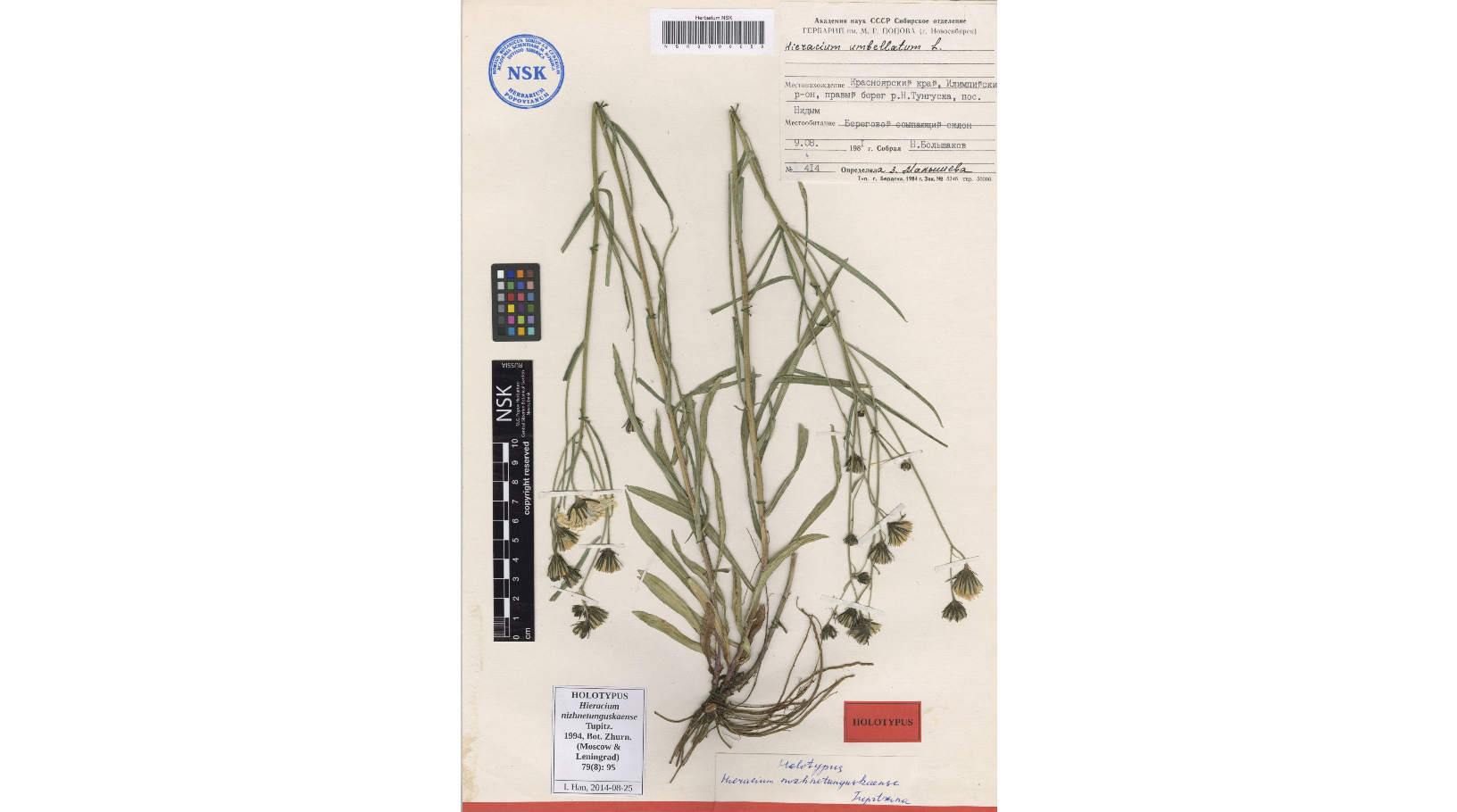 ���������� ���������������