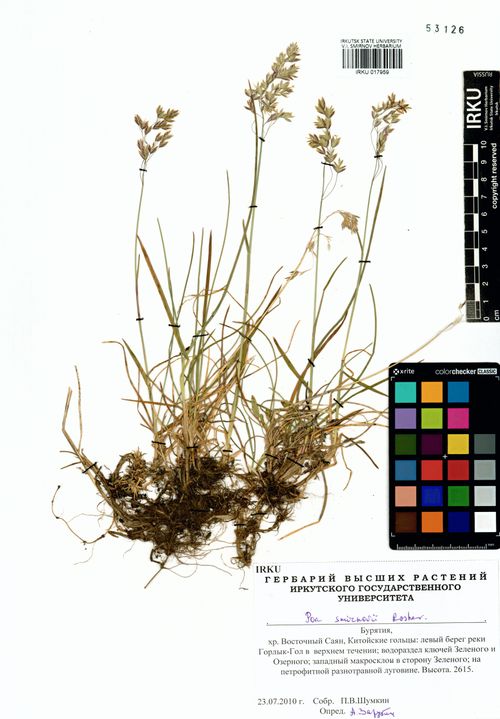 ������ ��������