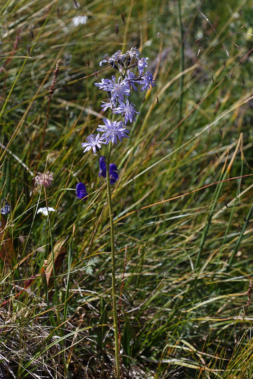 ��������� ���������