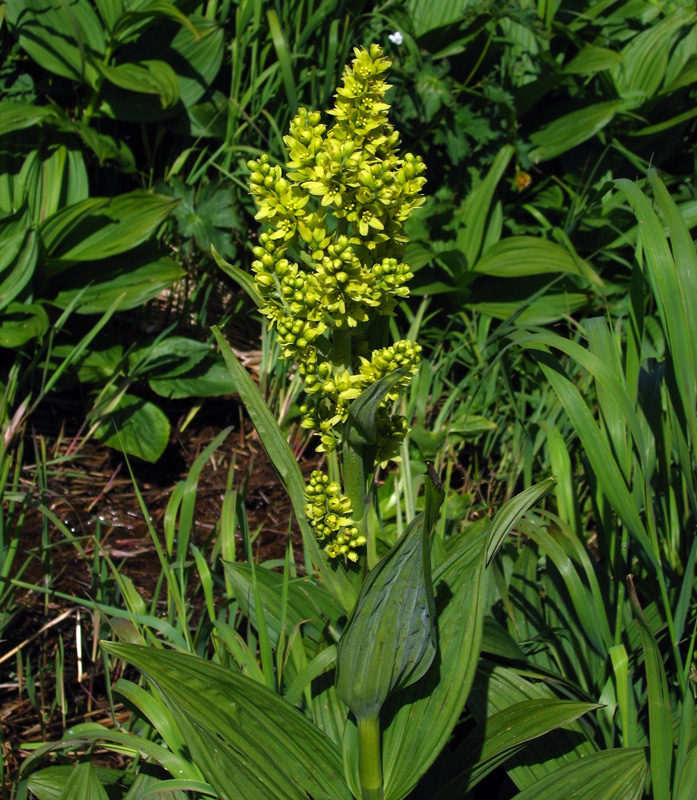 �������� ������