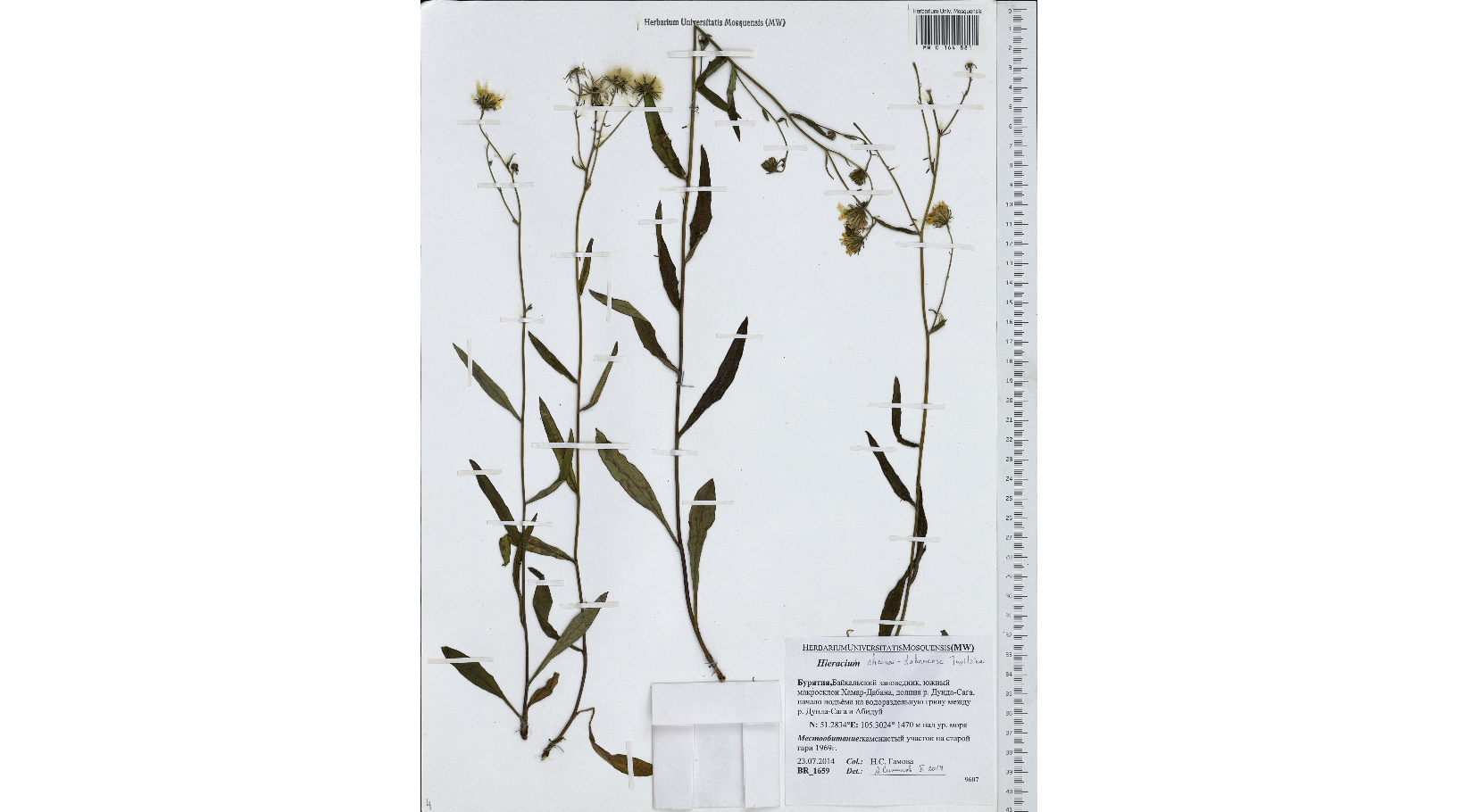 ���������� �����-���������