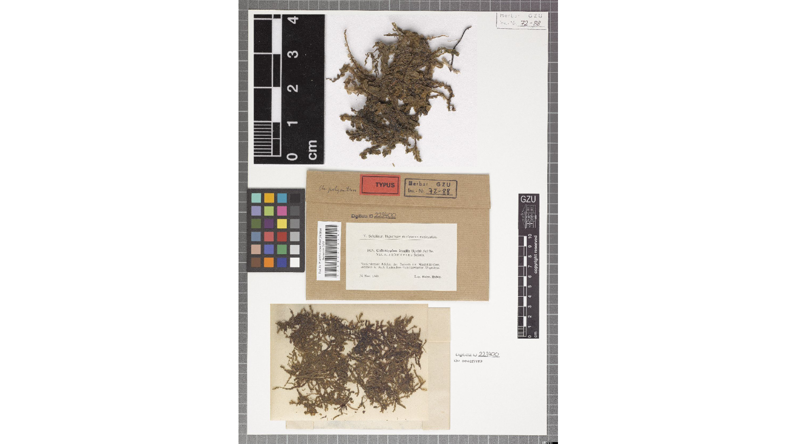 ���������� ������