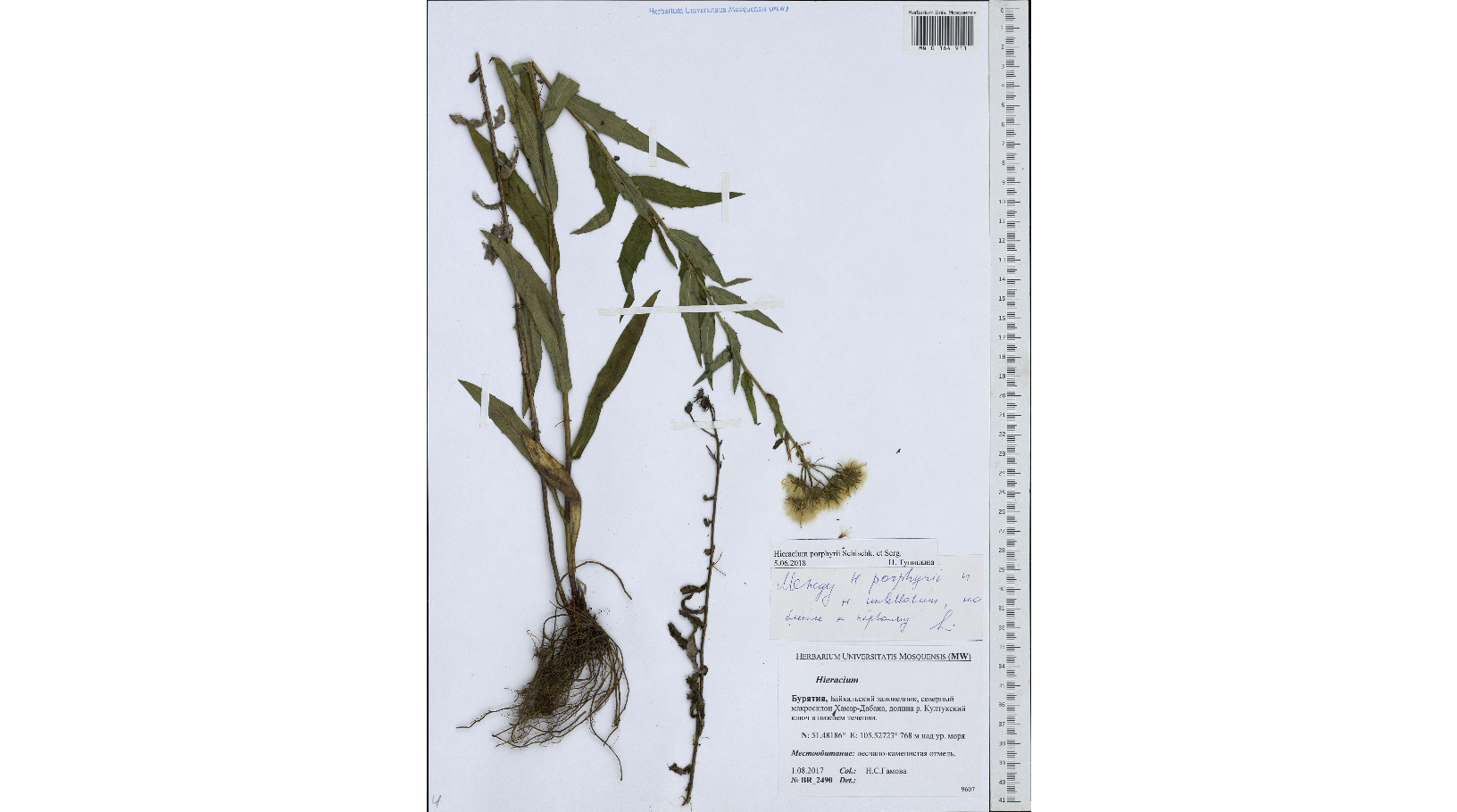 ���������� ��������