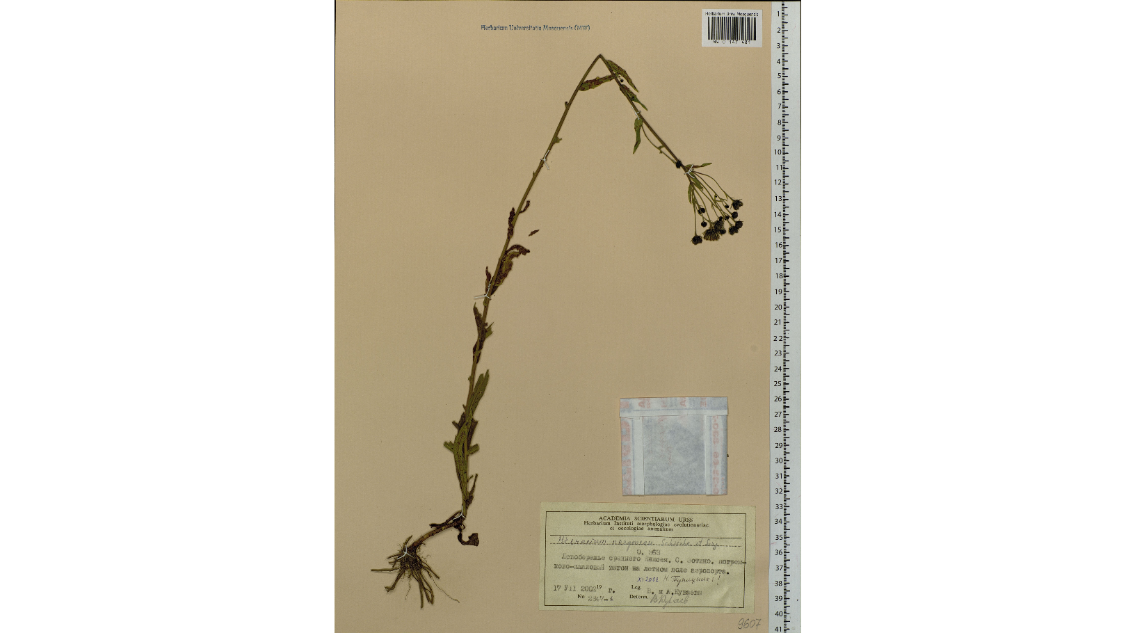 ���������� ���������