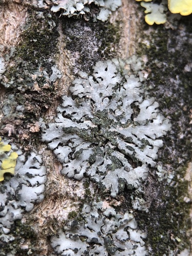 ��������� ��������